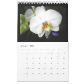 Orchideeën Kalender (Jan 2026)