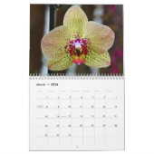 Orchideeën Kalender (Mar 2026)