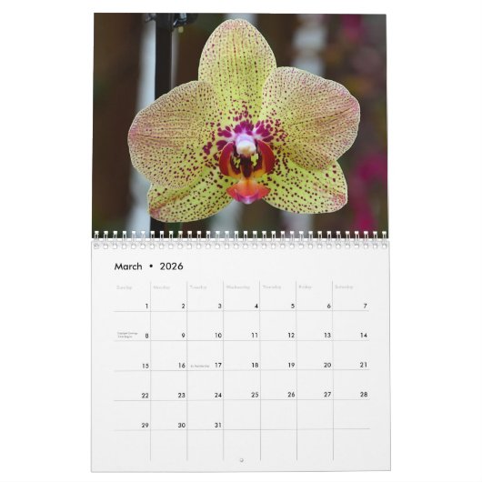 Orchideeën Kalender (Mar 2026)