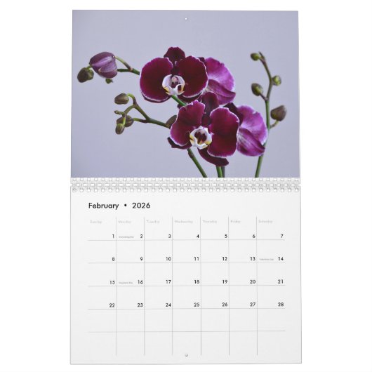 Orchideeën Kalender (Feb 2026)