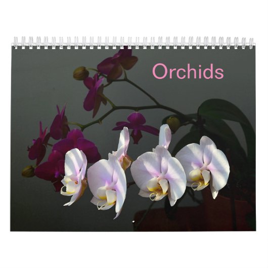 Orchideeën Kalender (Hoes)