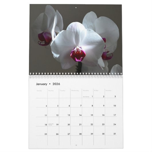 Orchideeën Kalender (Jan 2026)