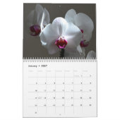 Orchideeën Kalender (Jan 2027)