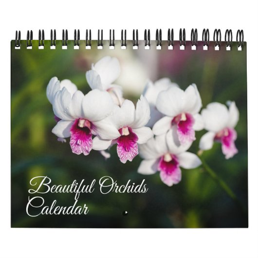 Orchideeën Kalender Kleine Formaat (Hoes)
