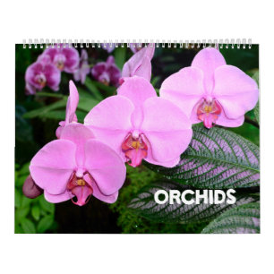 Orchideeën-kalender van 12 maanden kalender