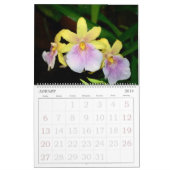 Orchideeën-kalender van 12 maanden kalender (Jan 2019)