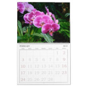 Orchideeën-kalender van 12 maanden kalender (Feb 2019)
