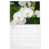 Orchideeën-kalender van 12 maanden kalender (Mar 2026)