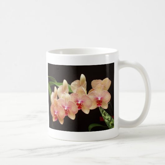 Orchideeën. Koffiemok (Rechts)