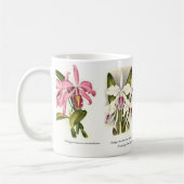 Orchideeën Koffiemok (Links)
