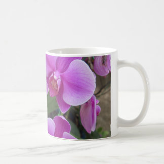 Orchideeën Koffiemok