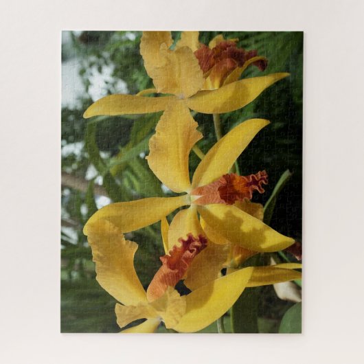 Orchideeën Legpuzzel (Verticaal)