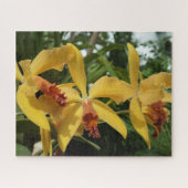 Orchideeën Legpuzzel (Horizontaal)