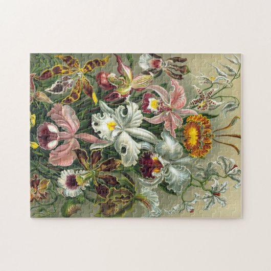 Orchideeën Legpuzzel (Horizontaal)