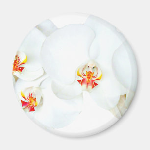 Orchideeën Love_ Magneet