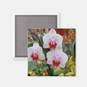 Orchideeën Magneet (Voorkant / Achterkant)