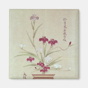 Orchideeën Magneet