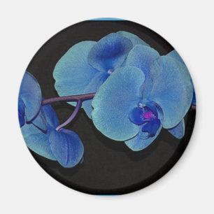 Orchideeën Magneet