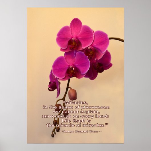 Orchideeën met een mirakelcitaat poster (Voorkant)