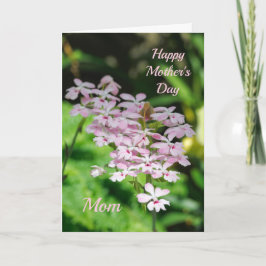 Orchideeën Moederdag Kaart