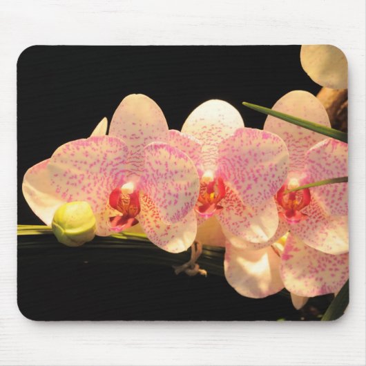 orchideeën muismat (Voorkant)