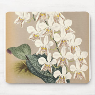 Orchideeën Muismat