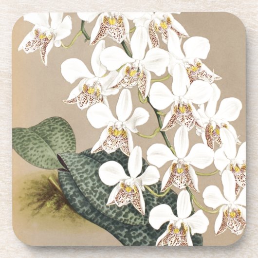 Orchideeën Onderzetter (Voorkant)