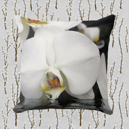 Orchideeën ontstaan uit watervierkant kussen