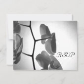 Orchideeën op de Kaart van de RSVP-respons voor he (Voorkant)