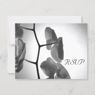 Orchideeën op de Kaart van de RSVP-respons voor he