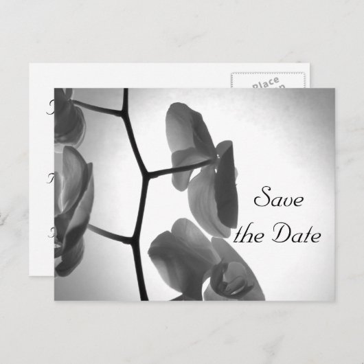 Orchideeën op het stoomhuwelijk sparen de Datum Aankondigingskaart (Voorkant / Achterkant)
