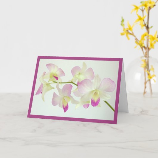 Orchideeën op wit, Gefeliciteerd! Kaart (Gele Bloem)