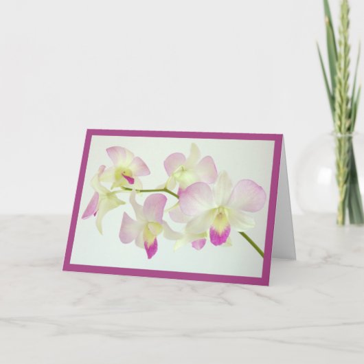 Orchideeën op wit, Gefeliciteerd! Kaart (Voorkant)