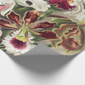 Orchideeën, Orchideae Denusblumen, door Ernst Haec Cadeaupapier (Hoek)