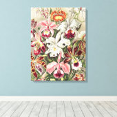 Orchideeën, Orchideae Denusblumen, door Ernst Haec Canvas Afdruk (Insitu (Houten vloer))