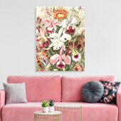 Orchideeën, Orchideae Denusblumen, door Ernst Haec Canvas Afdruk (Insitu (Woonkamer))