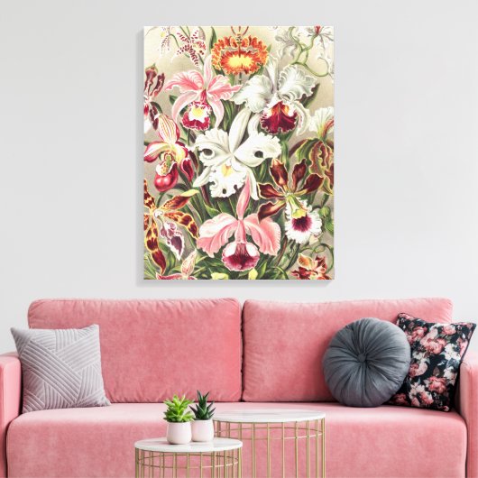 Orchideeën, Orchideae Denusblumen, door Ernst Haec Canvas Afdruk (Insitu (Woonkamer))
