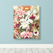 Orchideeën, Orchideae Denusblumen, door Ernst Haec Canvas Afdruk (Insitu (Houten vloer))