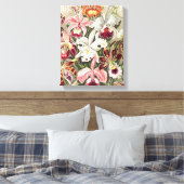 Orchideeën, Orchideae Denusblumen, door Ernst Haec Canvas Afdruk (Insitu (Slaapkamer))