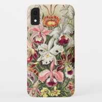 Orchideeën, Orchideae Denusblumen, door Ernst Haec