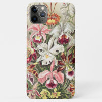 Orchideeën, Orchideae Denusblumen, door Ernst Haec