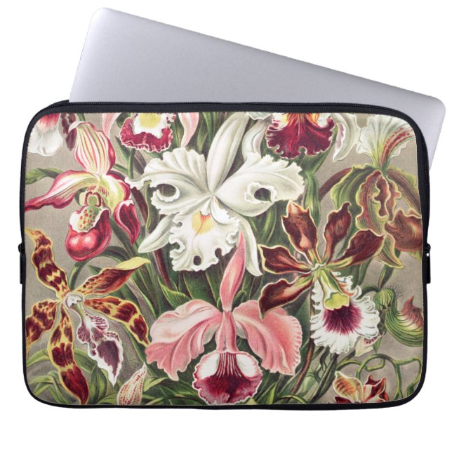 Orchideeën, Orchideae Denusblumen, door Ernst Haec Laptop Sleeve (Voorkant)