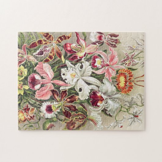 Orchideeën, Orchideae Denusblumen, door Ernst Haec Legpuzzel (Horizontaal)