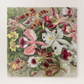 Orchideeën, Orchideae Denusblumen, door Ernst Haec Legpuzzel (Horizontaal)
