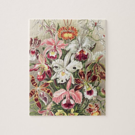 Orchideeën, Orchideae Denusblumen, door Ernst Haec Legpuzzel (Verticaal)