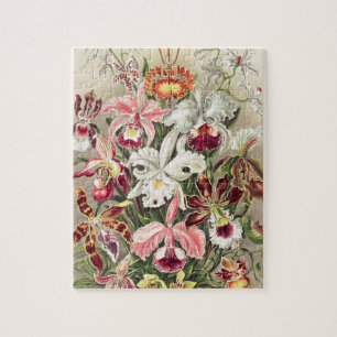 Orchideeën, Orchideae Denusblumen, door Ernst Haec Legpuzzel
