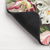 Orchideeën, Orchideae Denusblumen, door Ernst Haec Muismat (Hoek)