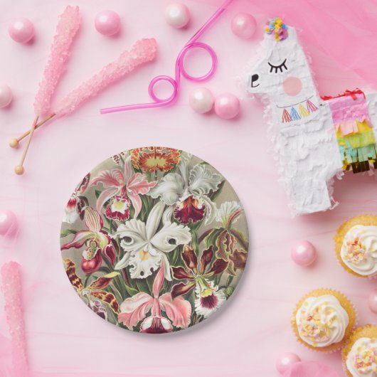 Orchideeën, Orchideae Denusblumen, door Ernst Haec Papieren Bordje (Feest)