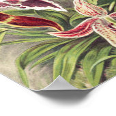 Orchideeën, Orchideae Denusblumen, door Ernst Haec Poster (Hoek)