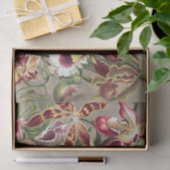 Orchideeën, Orchideae Denusblumen, door Ernst Haec Tissuepapier (Geschenk)